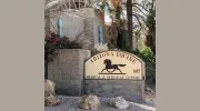 Arizona Equine Med & Surgical