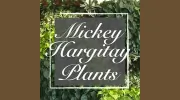 Mickey Hargitay Plants