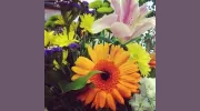 Park Florist