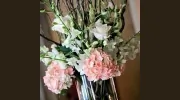 San Mateo Florist