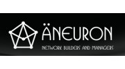 Aneuron