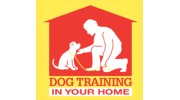 Dog Training In Your Home