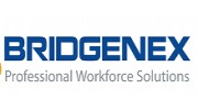 Bridgenex