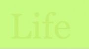 Cafe Of Life Chiropractic