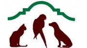 Companion Animal Hospital