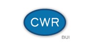 Consulting Within Reach