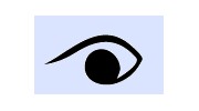Custom Eyes