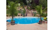 CW Parsons & Co Pools