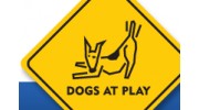 Dogs At Play
