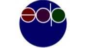 EDP Consulting