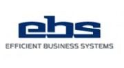 Efficient Business Systems