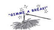 Gimme A Break Cleaning
