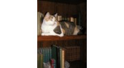 Five Quail Books