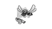 Discount Pest Control