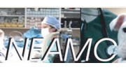 New England Animal Medical Center