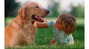 Parkview Animal Hospital