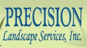 Precision Landscape