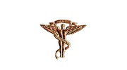 Purvis Chiropractic Clinic
