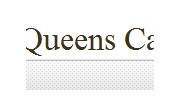 Hippo Carpet Cleaning Of Queens