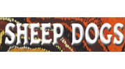 Sheep Dogs