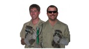 Tampa Rat Control Exterminator