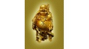 Women's Traditional Chinese Healing