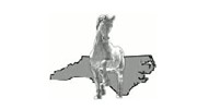 Triangle Equine