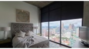 Window Shades