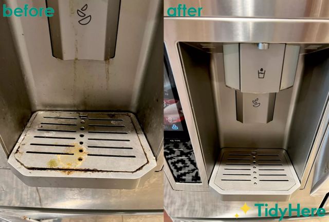 Refrigerator Cleaning