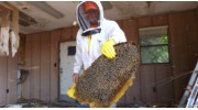 Pest Extermination