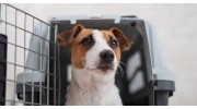 Dog Boarding