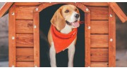 Dog Kennel