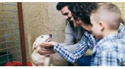 Animal Adoption