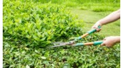 Pruning the Property