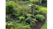 Lawn Care Services