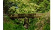 Maui Private Tours