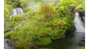 Maui Circle Island Tours
