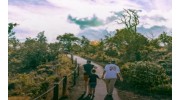 Big Island Circle Tours