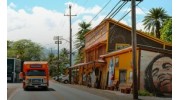 Oahu Circle Island Tours