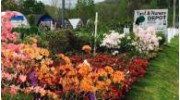 Nursery