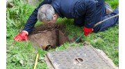 Septic Repair and Maintenance Services