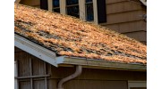 Roof Maintenance & Roof Cleaning