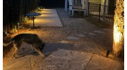 Outdoor Lighting
