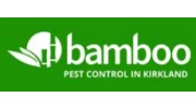 Kirkland Pest Control by Bamboo