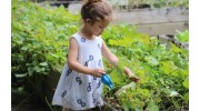 Organic Pest Control
