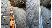Gutter Cleaning