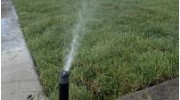 Sprinkler Installation