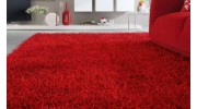 Area Rug Cleaning