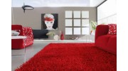 Area Rug Cleaning