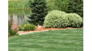 French Drain